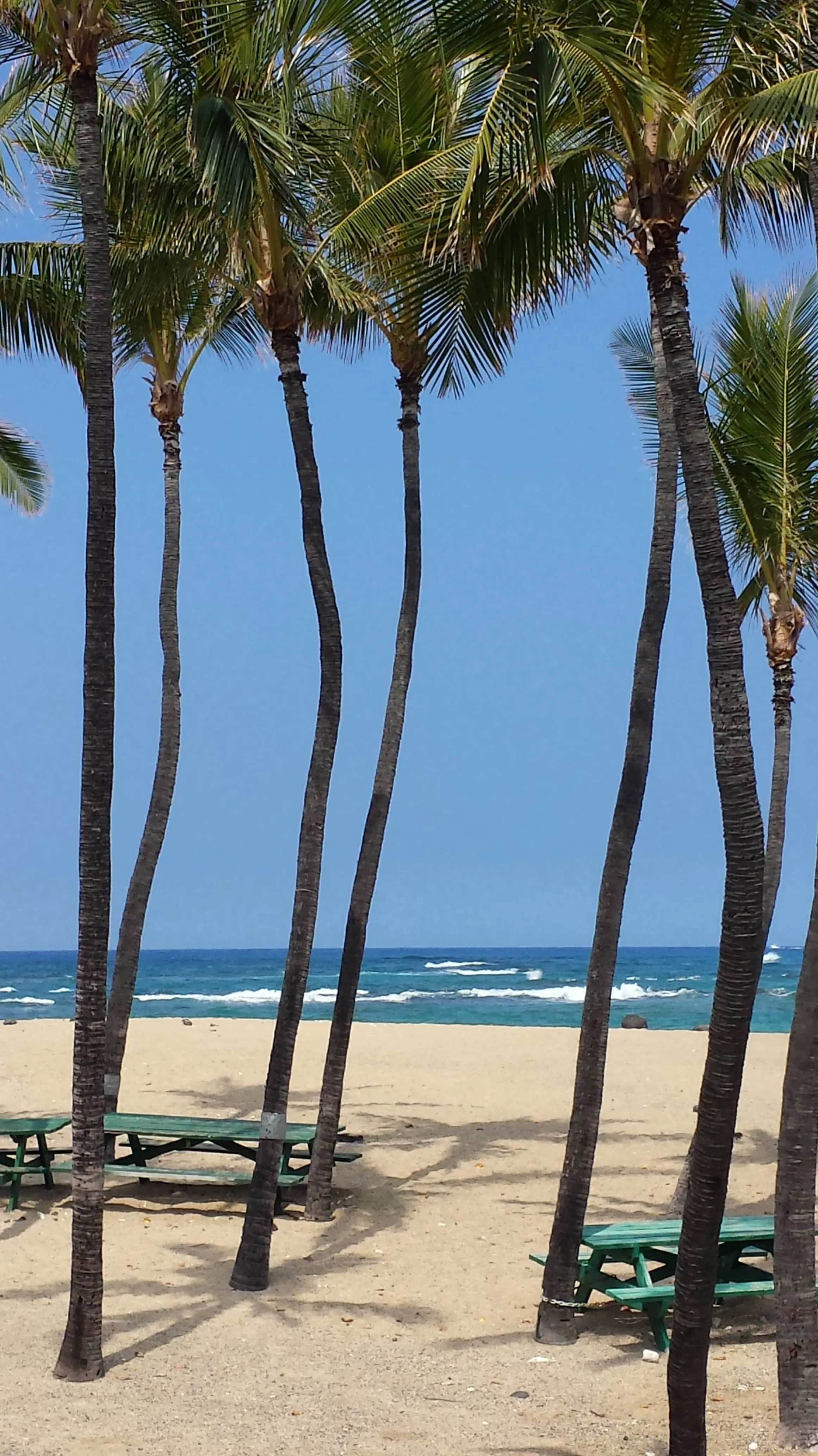 Puʻuhonua o Honaunau National Historical Park, 2015