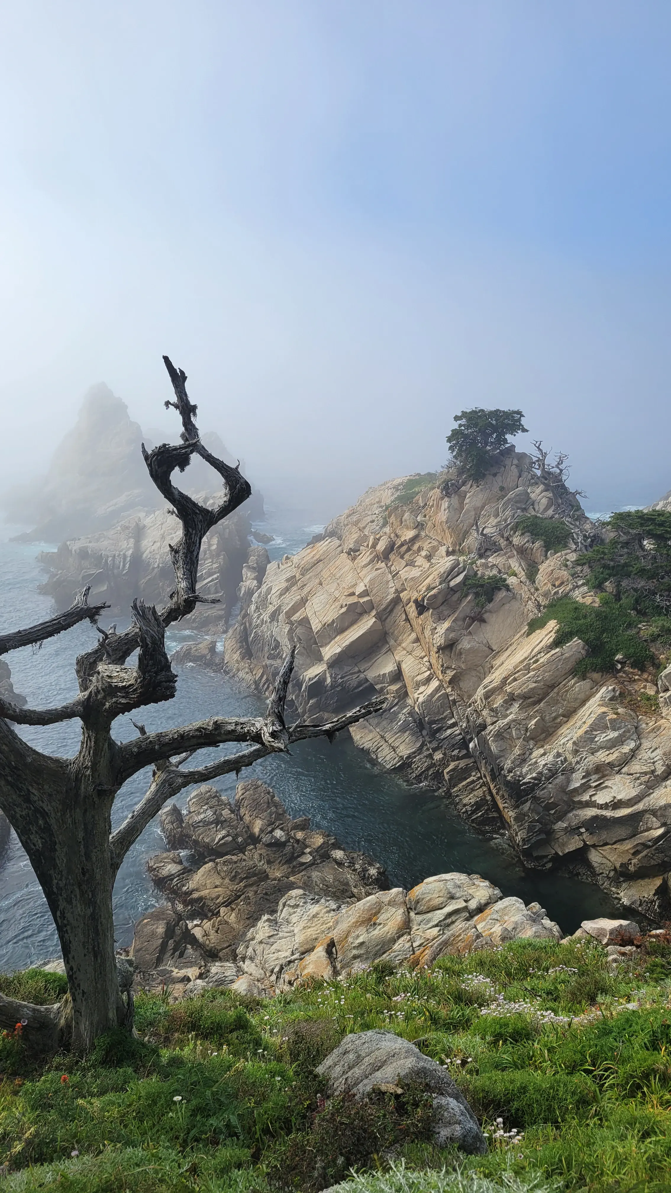 Point Lobos State Natural Reserve, 2024